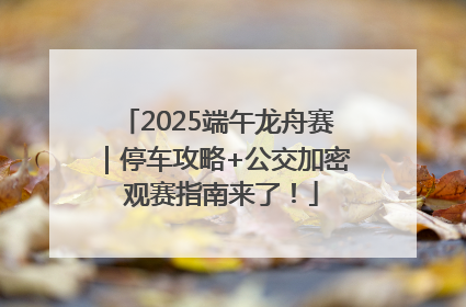 2025端午龙舟赛｜停车攻略+公交加密 观赛指南来了！