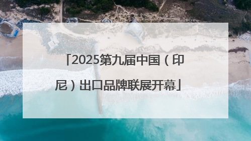 2025第九届中国（印尼）出口品牌联展开幕
