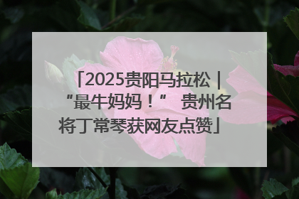 2025贵阳马拉松｜“最牛妈妈！” 贵州名将丁常琴获网友点赞