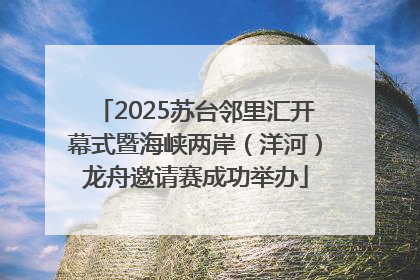 2025苏台邻里汇开幕式暨海峡两岸（洋河）龙舟邀请赛成功举办