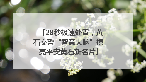 28秒极速处置，黄石交警“智慧大脑”擦亮平安黄石新名片