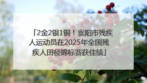 2金2银1铜！襄阳市残疾人运动员在2025年全国残疾人田径锦标赛获佳绩