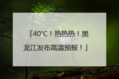 40℃！热热热！黑龙江发布高温预报！
