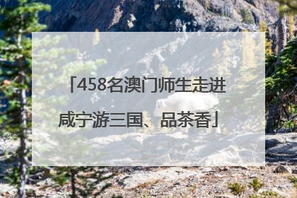 458名澳门师生走进咸宁游三国、品茶香