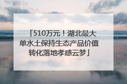 510万元！湖北最大单水土保持生态产品价值转化落地孝感云梦