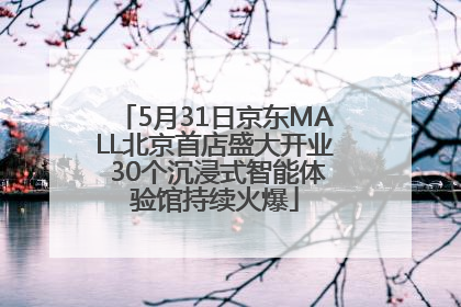 5月31日京东MALL北京首店盛大开业 30个沉浸式智能体验馆持续火爆