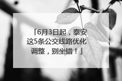 6月3日起，泰安这5条公交线路优化调整，别坐错！
