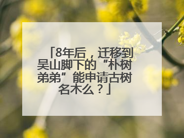 8年后，迁移到吴山脚下的“朴树弟弟”能申请古树名木么？