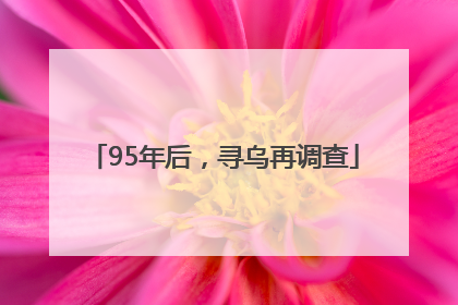 95年后，寻乌再调查