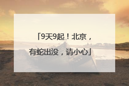 9天9起！北京，有蛇出没，请小心