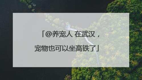 @养宠人 在武汉，宠物也可以坐高铁了