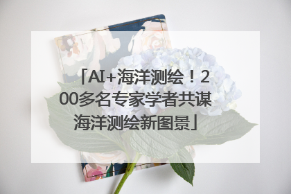 AI+海洋测绘！200多名专家学者共谋海洋测绘新图景