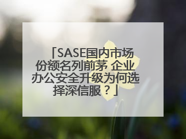 SASE国内市场份额名列前茅 企业办公安全升级为何选择深信服？