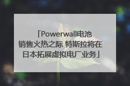 Powerwall电池销售火热之际 特斯拉将在日本拓展虚拟电厂业务